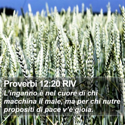 Proverbi 12:20 RIV Bible Verse Image