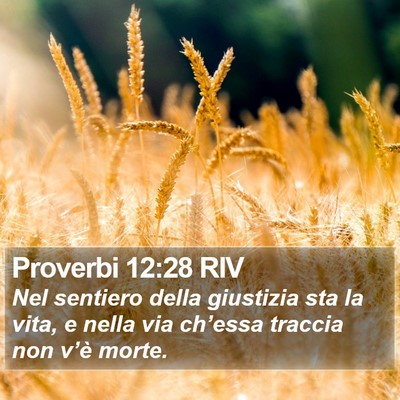 Proverbi 12:28 RIV Bible Verse Image