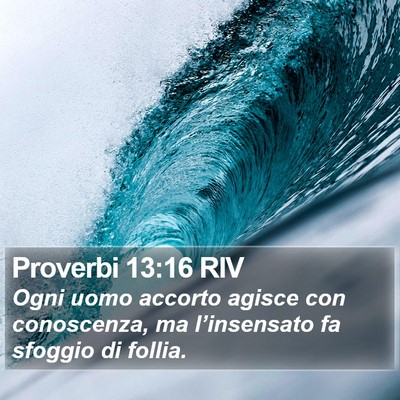 Proverbi 13:16 RIV Bible Verse Image