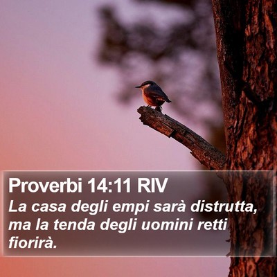 Proverbi 14:11 RIV Bible Verse Image
