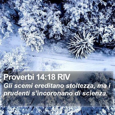 Proverbi 14:18 RIV Bible Verse Image