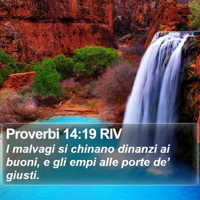 Proverbi 14:19 RIV Bible Verse Image