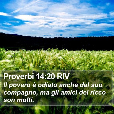 Proverbi 14:20 RIV Bible Verse Image