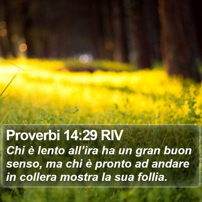 Proverbi 14:29 RIV Bible Verse Image