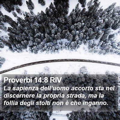 Proverbi 14:8 RIV Bible Verse Image