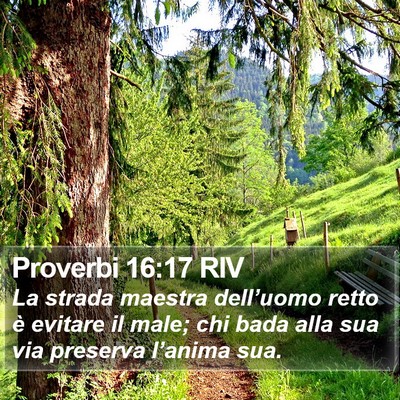 Proverbi 16:17 RIV Bible Verse Image