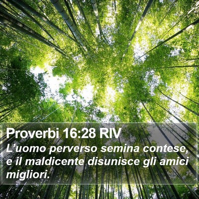 Proverbi 16:28 RIV Bible Verse Image