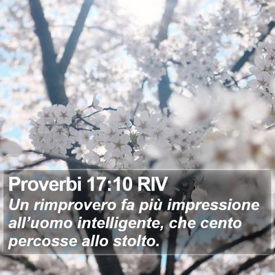 Proverbi 17:10 RIV Bible Verse Image