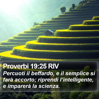 Proverbi 19:25 RIV Bible Verse Image