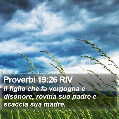 Proverbi 19:26 RIV Bible Verse Image