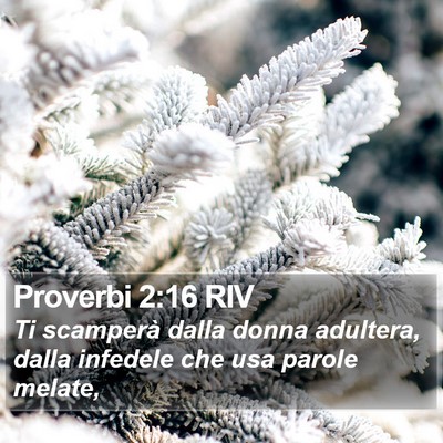 Proverbi 2:16 RIV Bible Verse Image