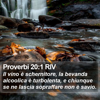 Proverbi 20:1 RIV Bible Verse Image