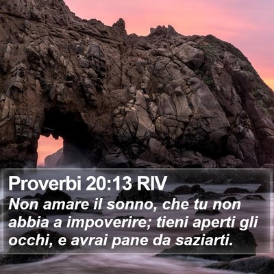 Proverbi 20:13 RIV Bible Verse Image