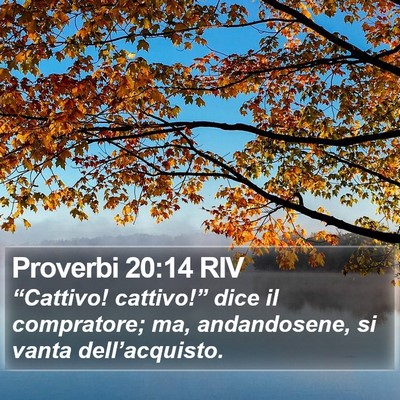 Proverbi 20:14 RIV Bible Verse Image