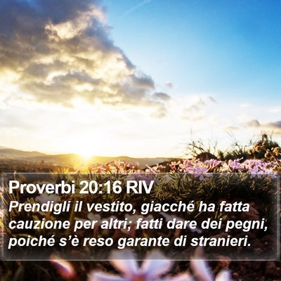 Proverbi 20:16 RIV Bible Verse Image