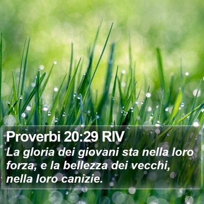 Proverbi 20:29 RIV Bible Verse Image