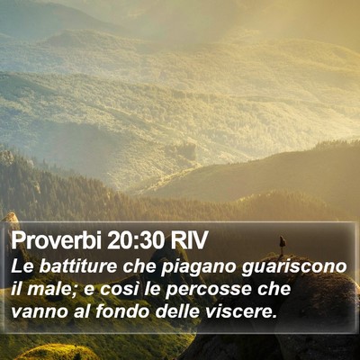 Proverbi 20:30 RIV Bible Verse Image