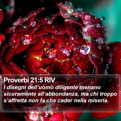 Proverbi 21:5 RIV Bible Verse Image