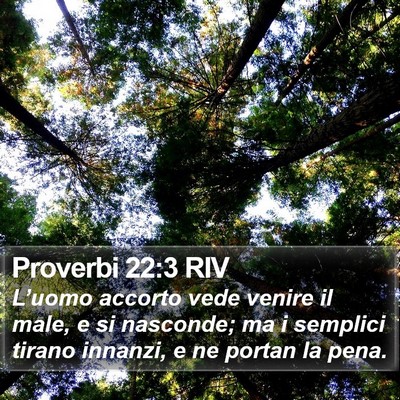 Proverbi 22:3 RIV Bible Verse Image