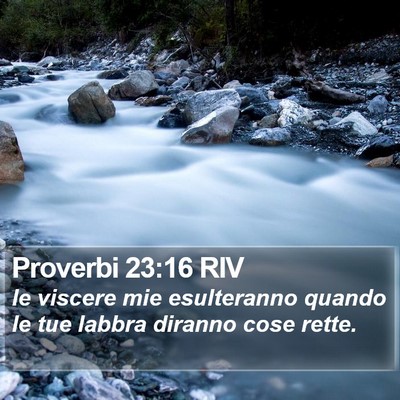 Proverbi 23:16 RIV Bible Verse Image