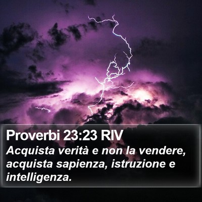 Proverbi 23:23 RIV Bible Verse Image