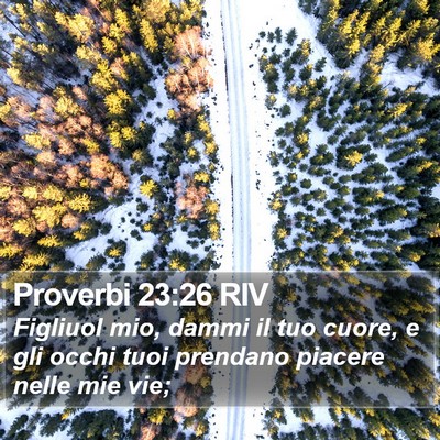 Proverbi 23:26 RIV Bible Verse Image
