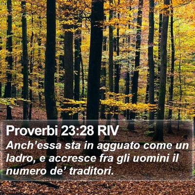 Proverbi 23:28 RIV Bible Verse Image