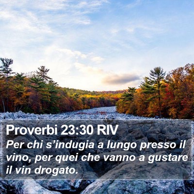 Proverbi 23:30 RIV Bible Verse Image