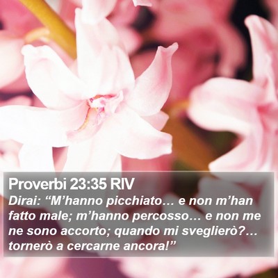 Proverbi 23:35 RIV Bible Verse Image