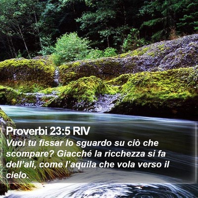 Proverbi 23:5 RIV Bible Verse Image