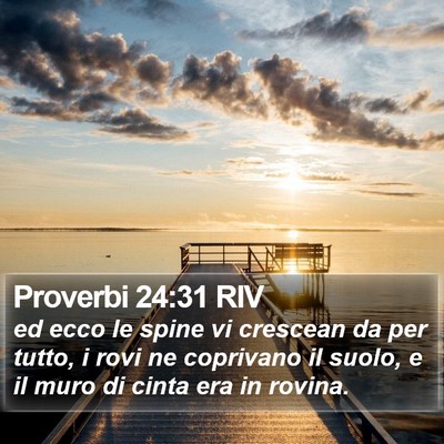 Proverbi 24:31 RIV Bible Verse Image