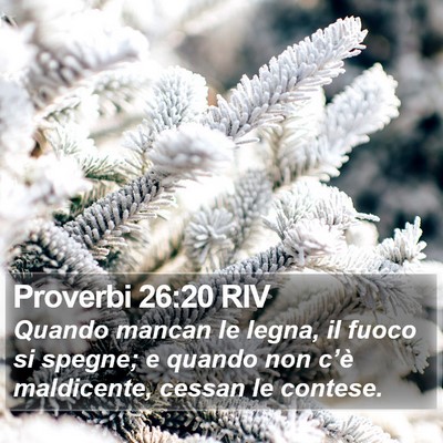 Proverbi 26:20 RIV Bible Verse Image