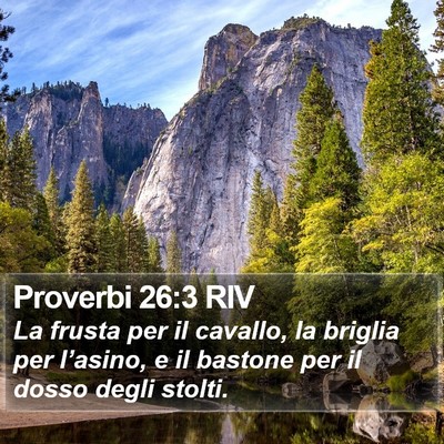 Proverbi 26:3 RIV Bible Verse Image