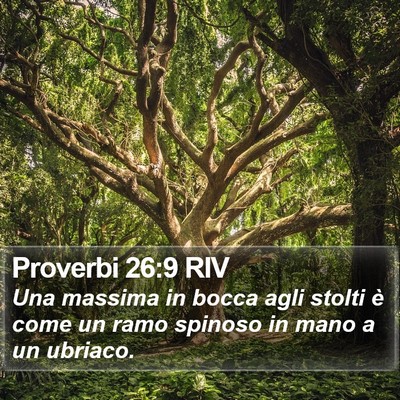 Proverbi 26:9 RIV Bible Verse Image