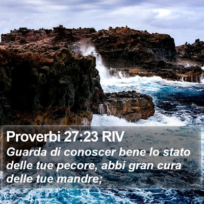 Proverbi 27:23 RIV Bible Verse Image