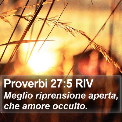 Proverbi 27:5 RIV Bible Verse Image
