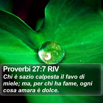 Proverbi 27:7 RIV Bible Verse Image