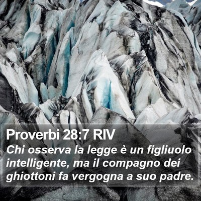 Proverbi 28:7 RIV Bible Verse Image