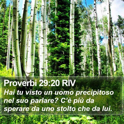 Proverbi 29:20 RIV Bible Verse Image