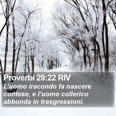 Proverbi 29:22 RIV Bible Verse Image