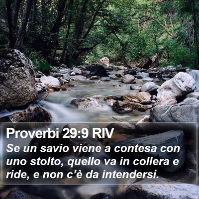 Proverbi 29:9 RIV Bible Verse Image