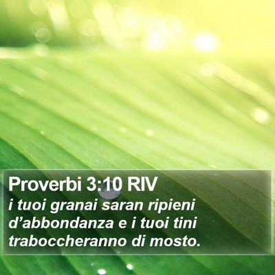Proverbi 3:10 RIV Bible Verse Image