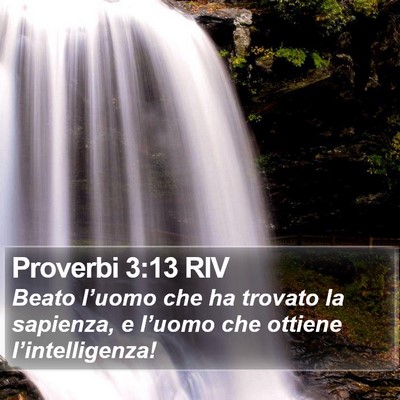 Proverbi 3:13 RIV Bible Verse Image