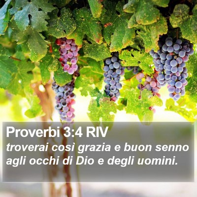 Proverbi 3:4 RIV Bible Verse Image