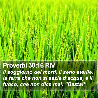 Proverbi 30:16 RIV Bible Verse Image