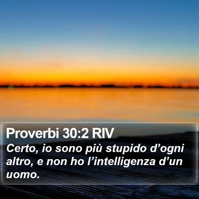 Proverbi 30:2 RIV Bible Verse Image
