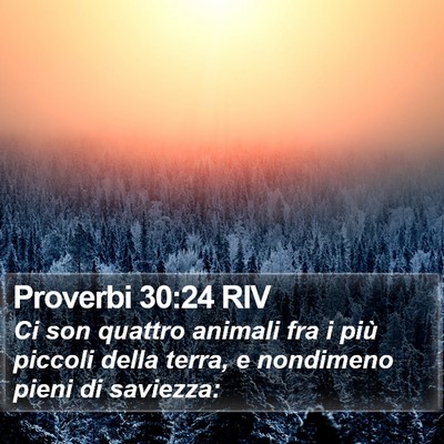 Proverbi 30:24 RIV Bible Verse Image
