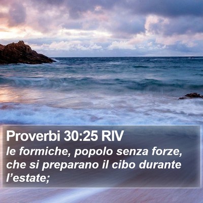 Proverbi 30:25 RIV Bible Verse Image