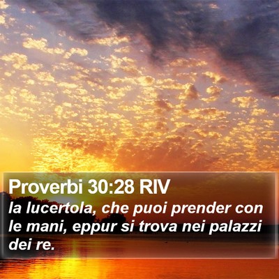 Proverbi 30:28 RIV Bible Verse Image