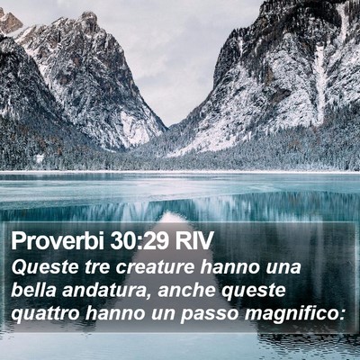 Proverbi 30:29 RIV Bible Verse Image